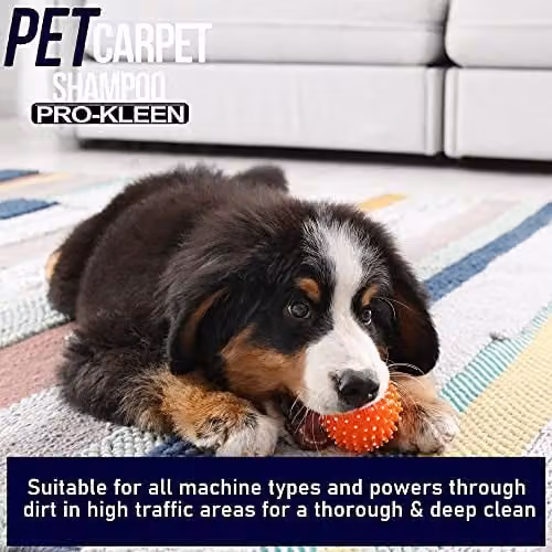 Pro-Kleen Pet Carpet and Upholstery Extraction Shampoo Solution with Reactivating Odour Treatment, Pink, 5 l – 3