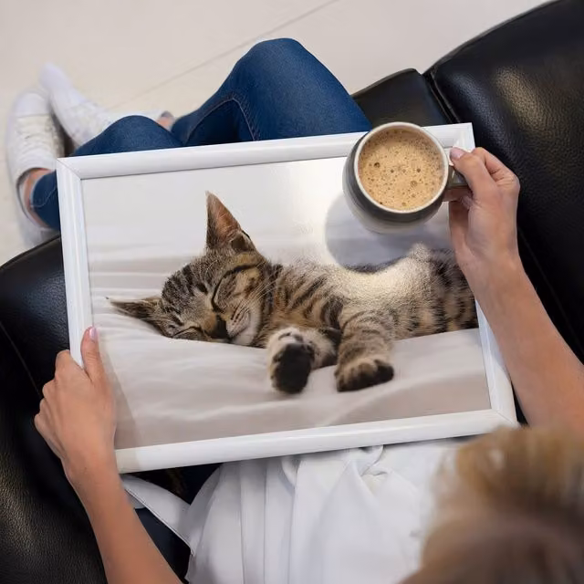 Creative Tops Kitten Lap Tray in Silver and Black