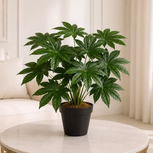 Leaf Design UK Realistic Large Artificial Aralia Foliage Plant in Green with Pot, Height: 60 cm – 2