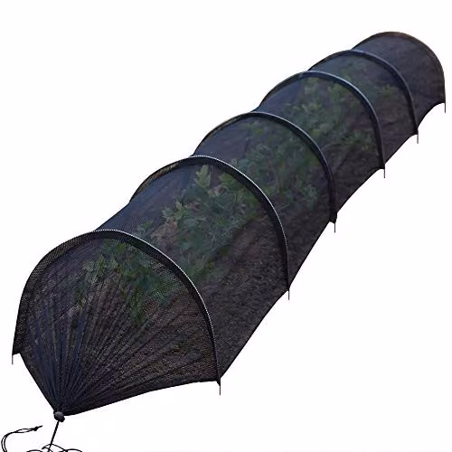 Thompson & Morgan Black Greenhouse Net Grow Tunnel for Plant Protection, W: 300 cm, D: 45 cm, H: 45 cm – 2