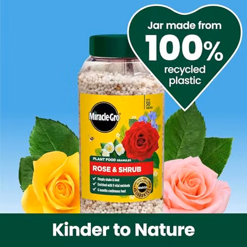 Miracle-Gro Premium Rose and Shrub Continuous Release Plant Food, 900g – 5