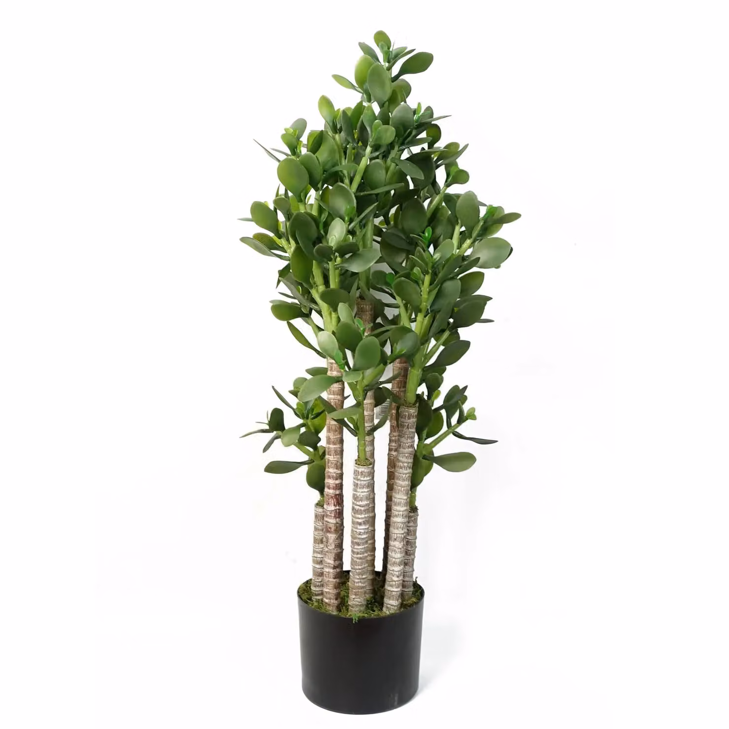 Leaf Faux Deluxe 75cm Artificial Green Jade Plant – 2