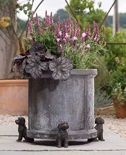 Jardinopia Cockapoo Animal Planter Pot Feet, Set of 3, Bronze, W8 x D5.5 x H10 cm – 3