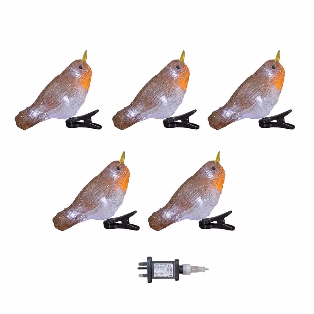 Samuel Alexander Set of 5 Light up Acrylic Christmas Robin Decorations with 30 Ice White LEDs in White and Multicolour – 4