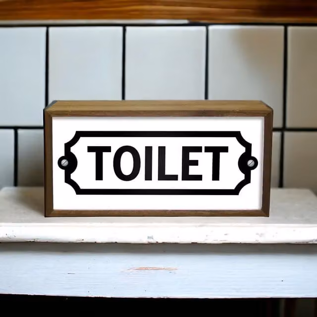 Echo Three Retro LED Light Box Toilet Sign in Brown
