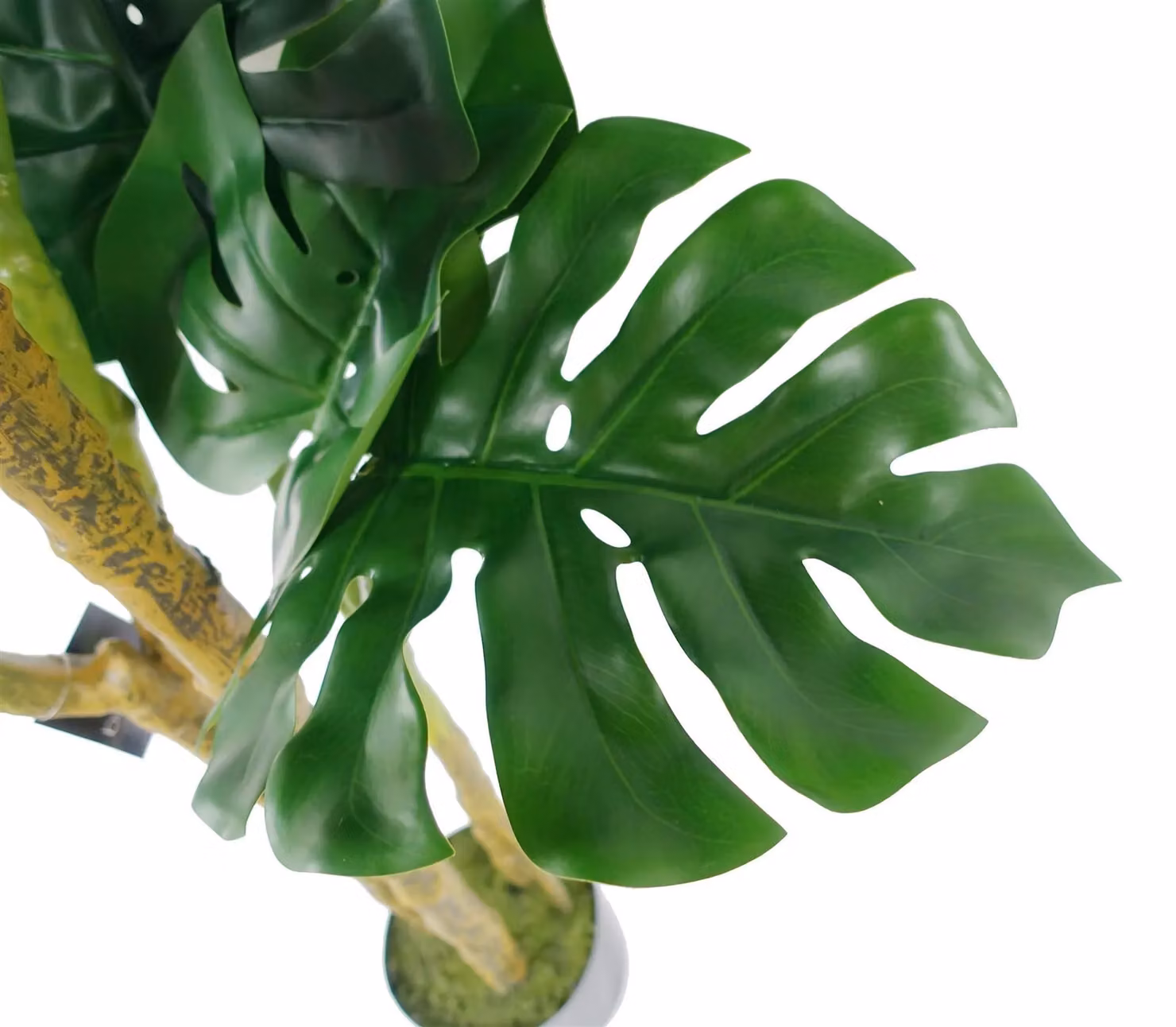 Botanik UK Premium Artificial Monstera Plant in Green, Height: 150 cm – 5