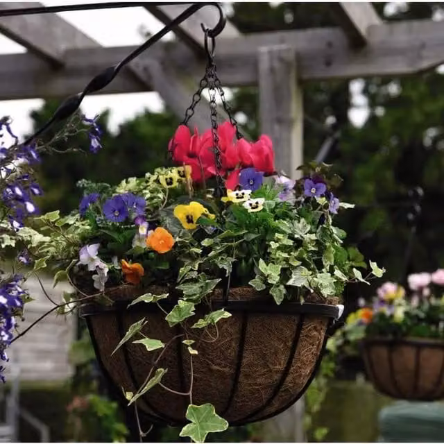 Thompson & Morgan Black Metal Garden Hanging Baskets with Coco Liners, Pack of 4