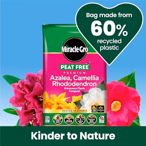 Miracle-Gro Premium Azalea, Camellia, Rhododendron and Special Plants Peat Free Compost, 40 Litres – 5
