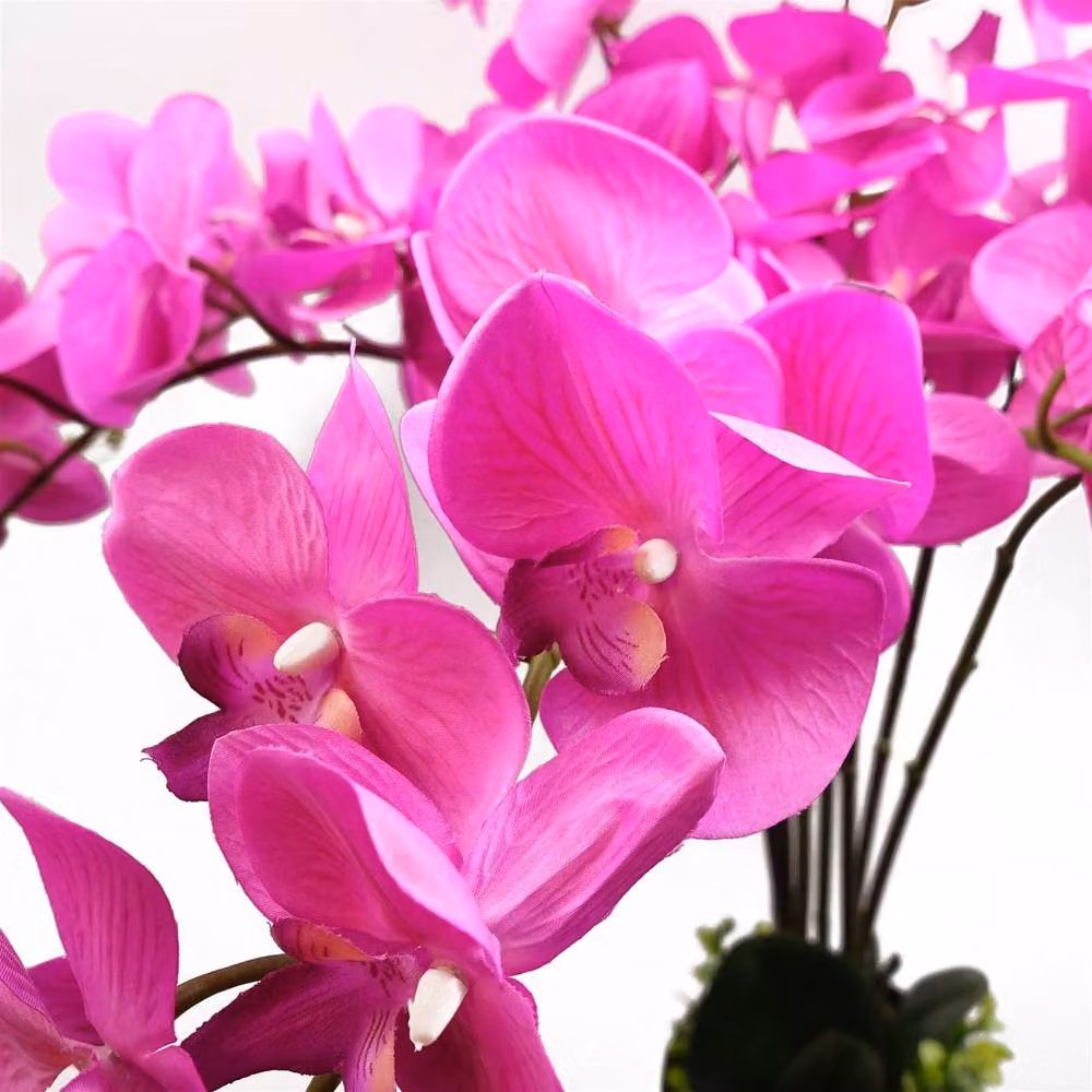 Botanik Artificial Deluxe Bush Orchid in Dark Pink with Black Pot, Height: 85 cm – 4