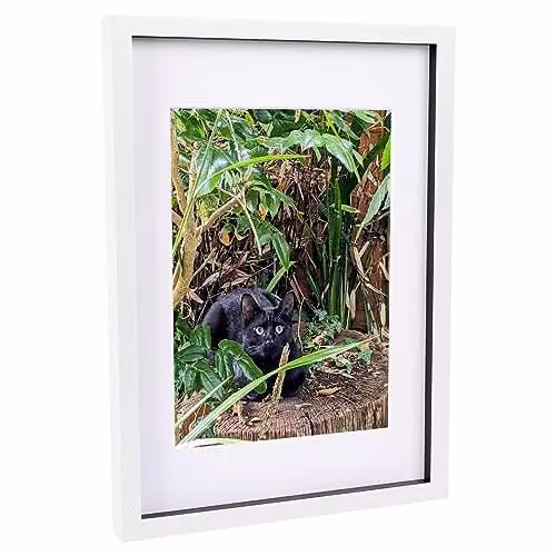 Nicola Spring White 3D Shadow Box Photo Frame with A4 Mount, Rectangular Portrait Display Case
