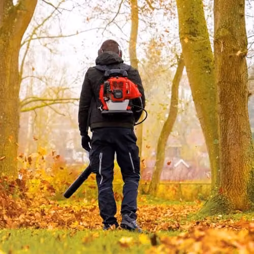 Scheppach LB5200BP Backpack Leaf Blower with 1.9 HP 2-Stroke Petrol Engine in Red and Black – 4