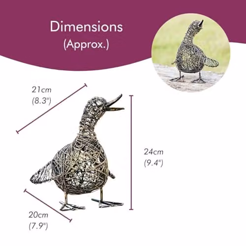 Paper High Janhvi the Small Quacking Duck Bronze Metal Wire Garden Ornament – 3