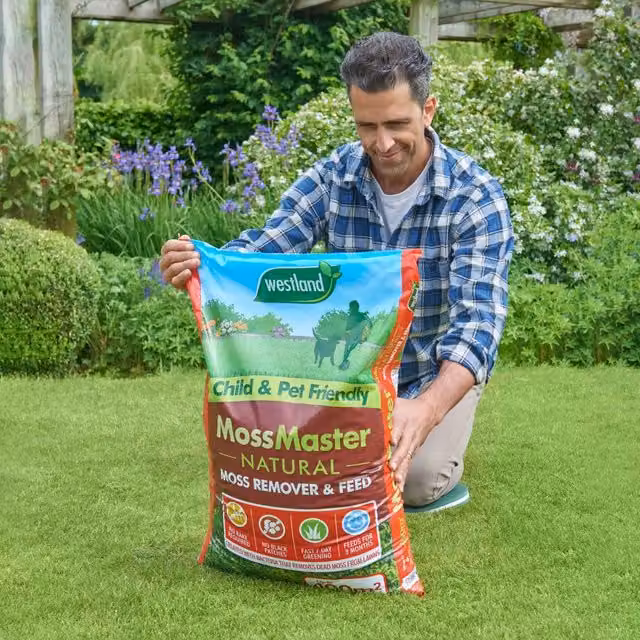 Westland Moss Master natural moss remover and slow-release lawn feed, Brown