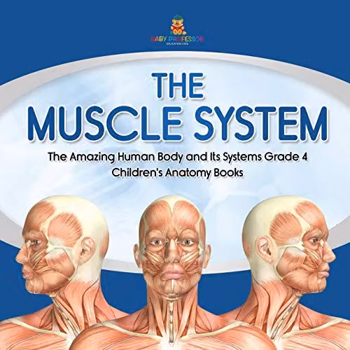 Baby Professor The Muscle System: The Amazing Human Body and Its Systems Grade 4 Children's Anatomy Book in White and Multicolour