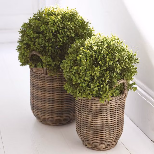 Bloom Green Artificial Round Boxwood Ball Topiary Plant in a Rattan Pot, Height: 30 cm