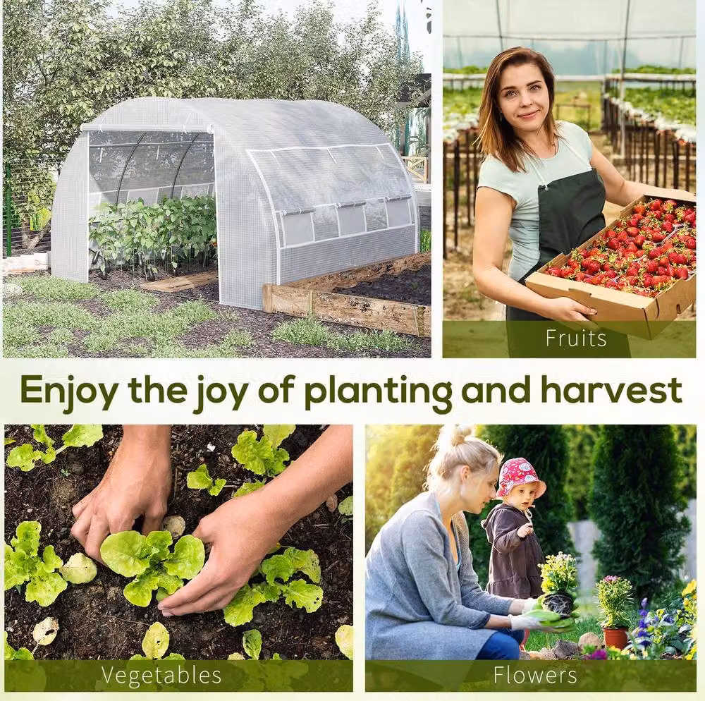 STILVORA White Polytunnel Greenhouse with Roll-Up Sides, W: 300 cm, D: 300 cm, H: 200 cm – 4