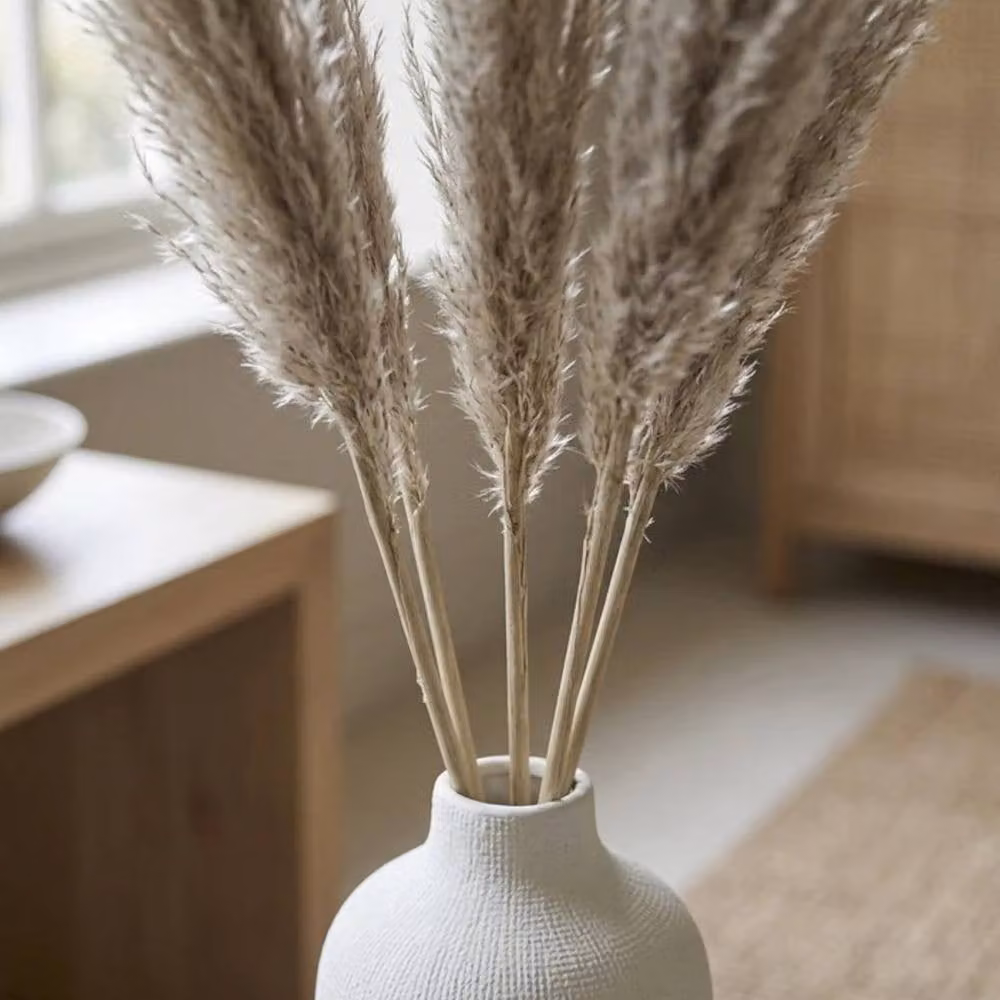 Garden Greatness Natural Dried Pampas Grass Stems, Beige and Multicolour, 1 Pack – 2