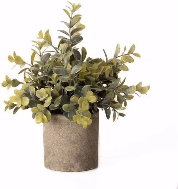 Lemon Pavilion Artificial Green Eucalyptus Plant in a Stone Effect Pot