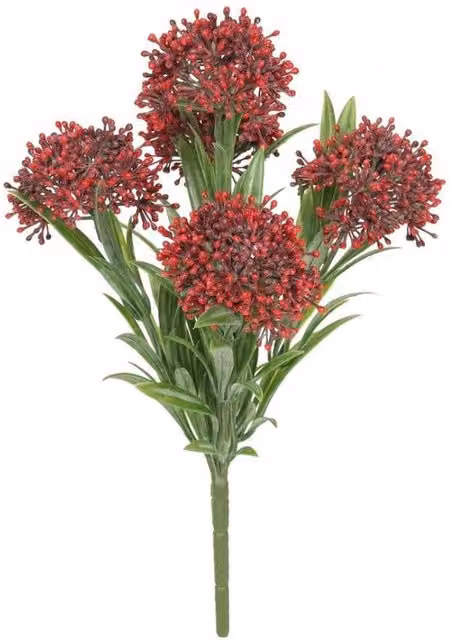 KDMD UV Exterior Everlast Skimmia Plant in Green and Red Plastic, 24cm