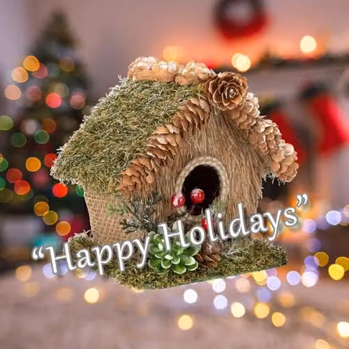 VFM e-Store Christmas Bird House Tabletop Decoration, Green, W: 15 cm, D: 16 cm – 4