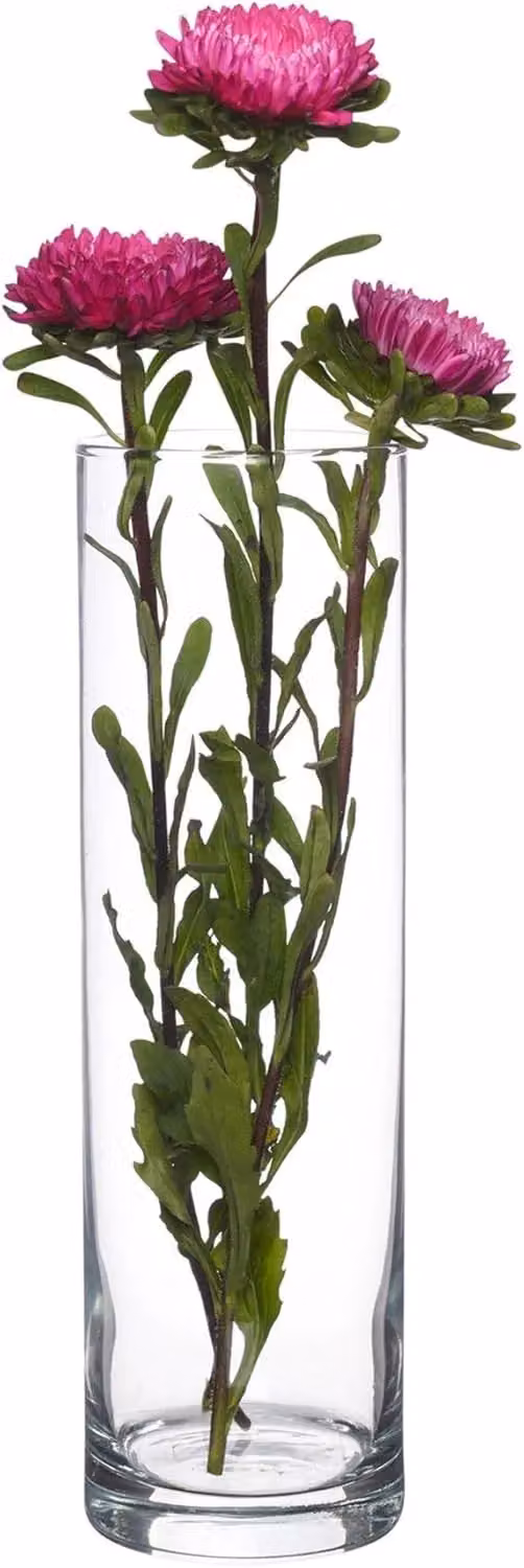 Simpa Botanica Set of 2 Transparent Glass Cylindrical Vases – 2