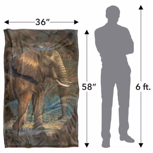 JQ Licensing Elephant Silky Touch Super Soft Fleece Throw Blanket, Multicolour, W: 91 cm, D: 147 cm – 3