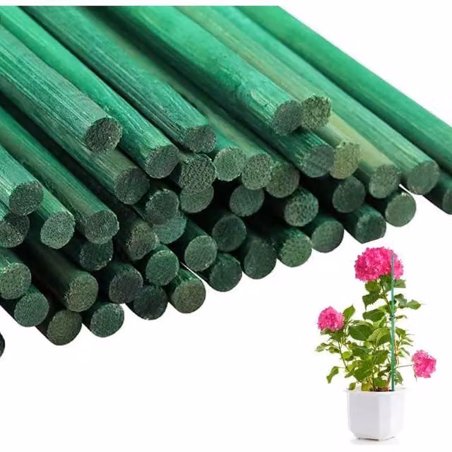 FLAVORA 100 Pack Green Bamboo Flower Sticks Wooden Plant Support H: 50 cm, W: 100 cm – 1