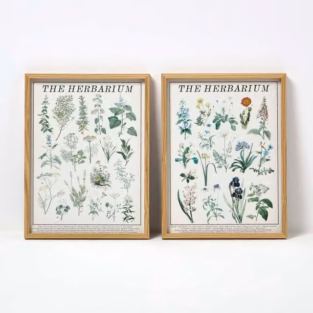 Homescapes Set of 2 Minimalist Floral Herbarium Wall Art, Multi-coloured, W/D/H: 40 x 30 x 2.5 cm