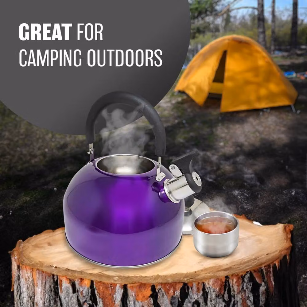 BARGAINS-GALORE 2.5l Stainless Steel Whistling Kettle in Purple – 5