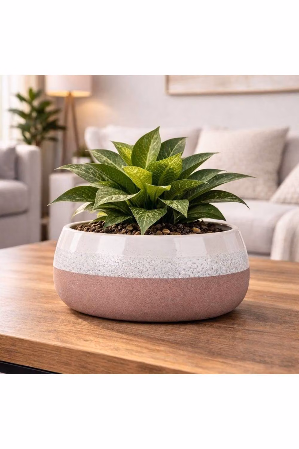 KDMD Hortus Pink and White Bordeaux Stoneware Pot H 13.5 cm x Dia 25.5 cm – 2