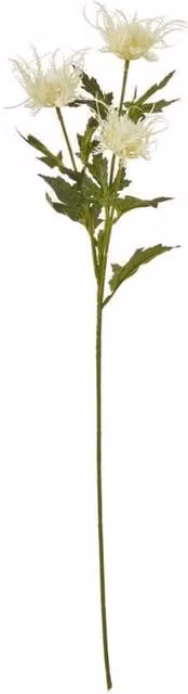 KDMD Sea Holly Floral Spray in White and Beige