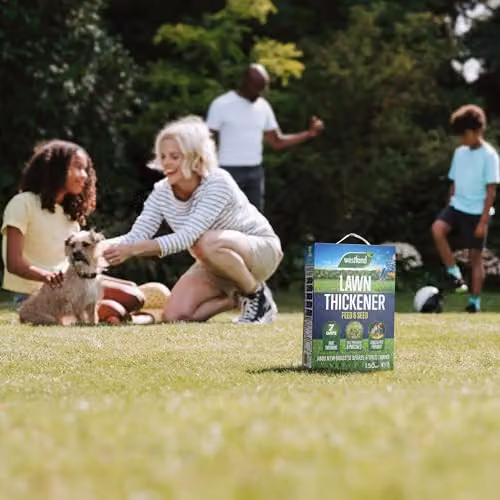 Westland Lawn Thickener and Reviver – 4