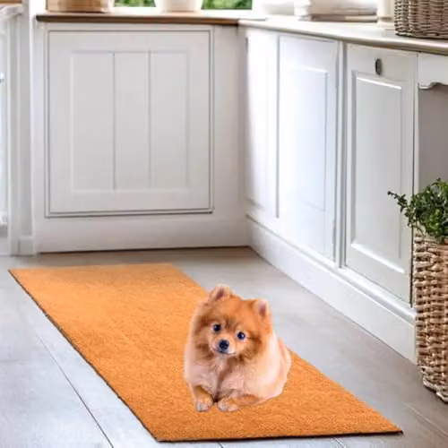 Nicoman Brown Coir and PVC Non-Slip Scraper Runner, W: 70 cm, L: 200 cm