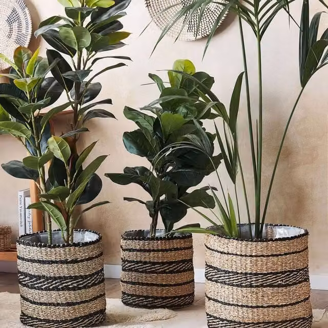 Wyld and Coco Set of 3 Seagrass Plant Baskets in Brown and Sand with Natural Finish