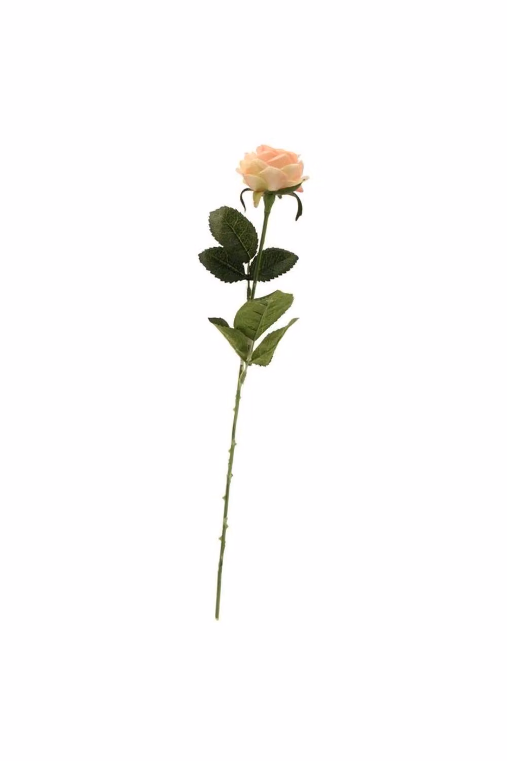 KDMD Diamond Rose Light Pink Floral Decoration, 10 Pack, Diameter: 40 cm – 2