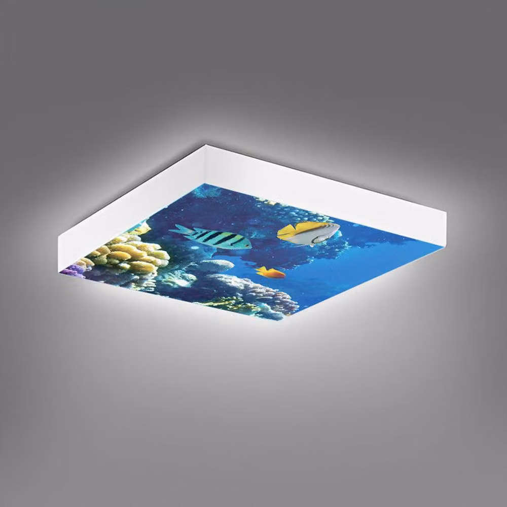 ENER-J Marine LED 2D Ceiling Light, White, W/D/H: 60 x 60 x 60 cm, 40W – 2