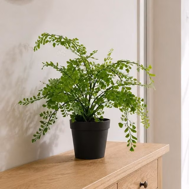 Leaf Design Realistic Artificial Potted Fern Plant in Green, Height: 45 cm, Width: 45 cm, Depth: 35 cm