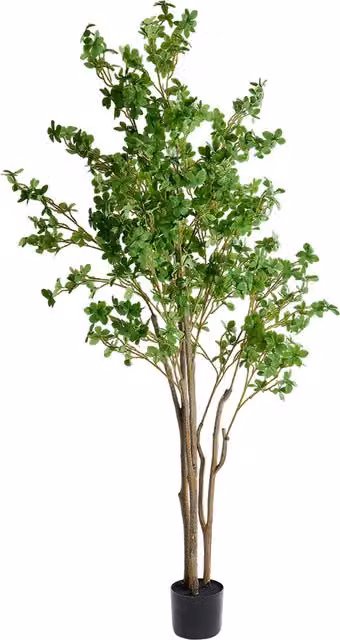Livingandhome Artificial Enkianthus Tree in Green, Height: 75 cm