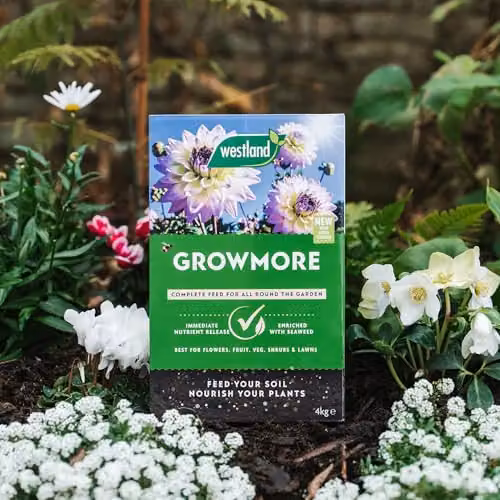Westland Growmore All Purpose Plant Food Granulate, 4 kg – 3