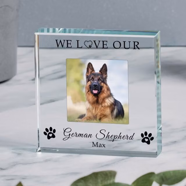 Uniqueful Personalised We Love Our Dog Glass Token Family Gift in Transparent and Beige