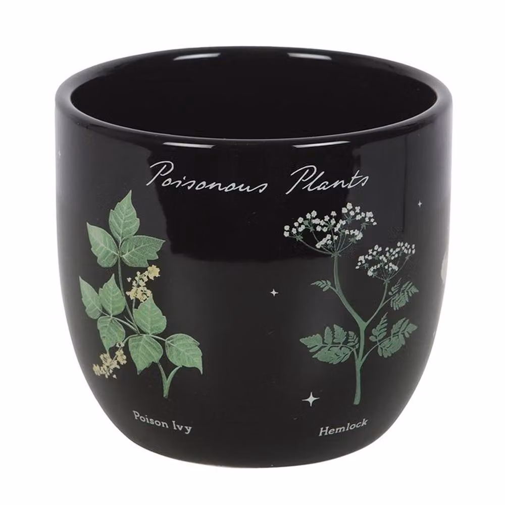 Uniqueful Poisonous Plants Tabletop Plant Pot in Black, Medium Size – 2