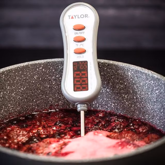 Taylor Pro Digital Step Stem Thermometer in Grey