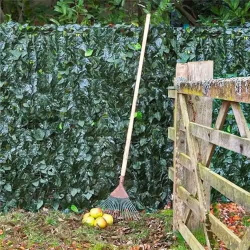 Primrose Artificial Ivy Leaf Screening Hedge Roll in Green, W: 3 m, H: 1 m