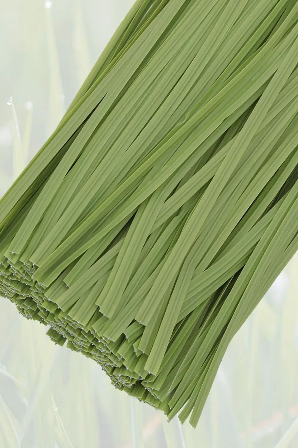 Neel Blue 200pcs Plastic Twist Ties, 6 Inch Soft Light Green Garden Plant Support Ties – 3