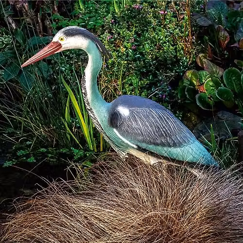 mysmartbuy Life-Sized Decoy Heron, Multicolour, H 71 x W 16.1 x D 22 cm – 2