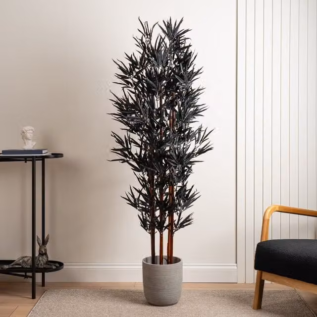 Scottish Everlastings Ltd Black Bamboo Tree, Height: 157 cm