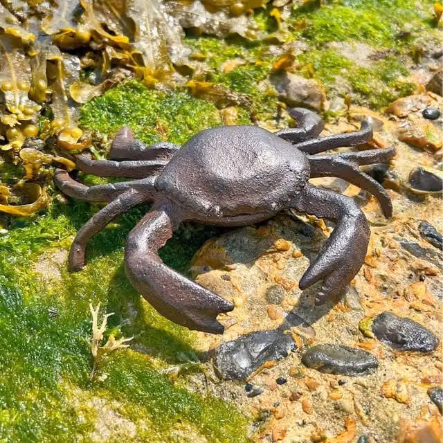 Ascalon Vintage Brown Cast Iron Crab Garden Ornament