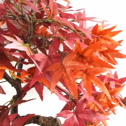 Leaf Artificial Red Maple Bonsai Tree in Red and Brown, Height: 50.0 cm, Width: 30.0 cm, Depth: 30.0 cm – 2