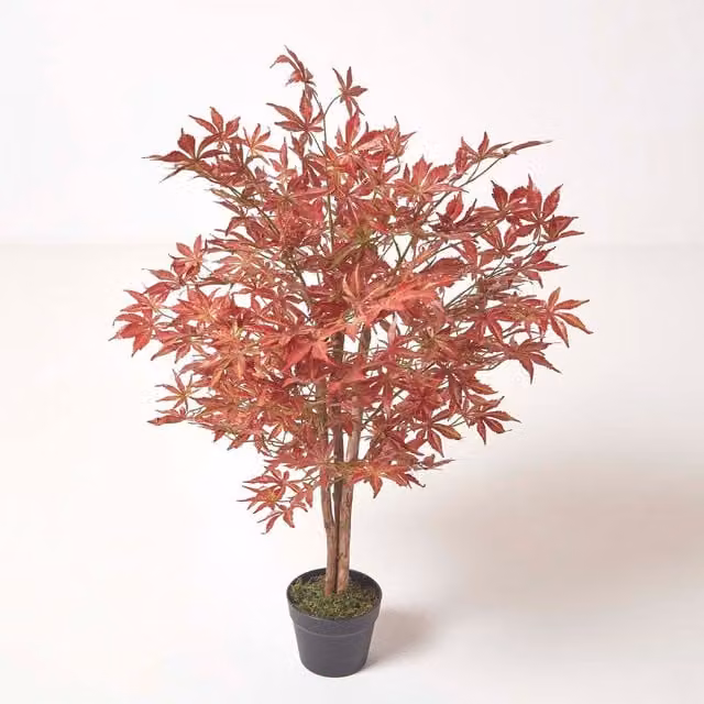 Homescapes Red and Green Acer Tree in Pot, Height: 90 cm