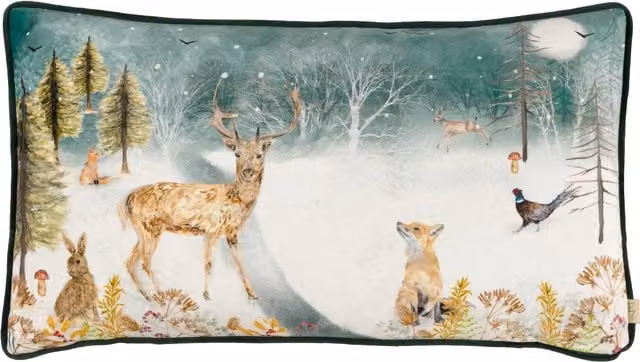 Evans Winter Stag Multicolour Velvet Polyester Filled Rectangular Cushion W: 50 cm, H: 30 cm